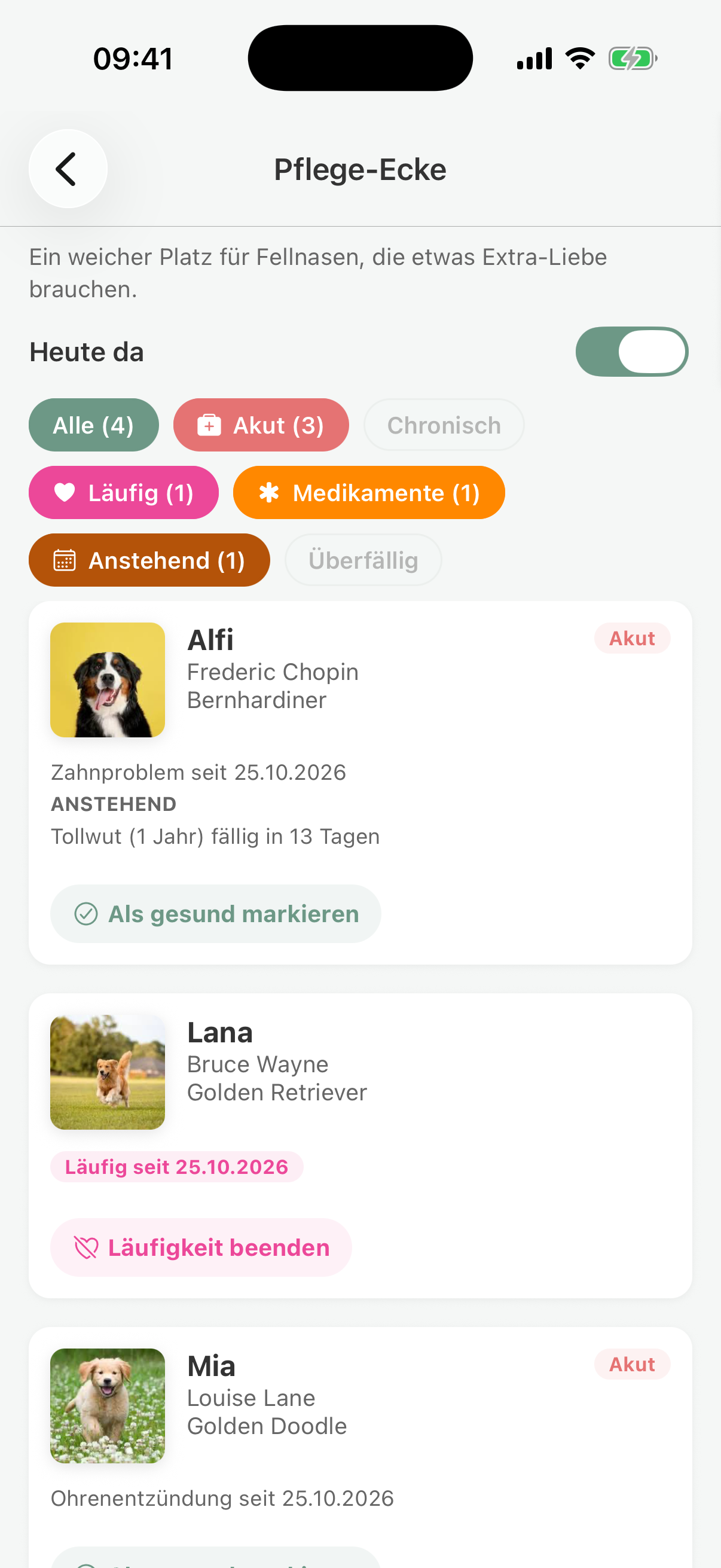 Care corner in pawganizer with acute cases, dogs in heat, medication, and visits that are due Care corner in pawganizer with acute cases, dogs in heat, medication, and visits that are due