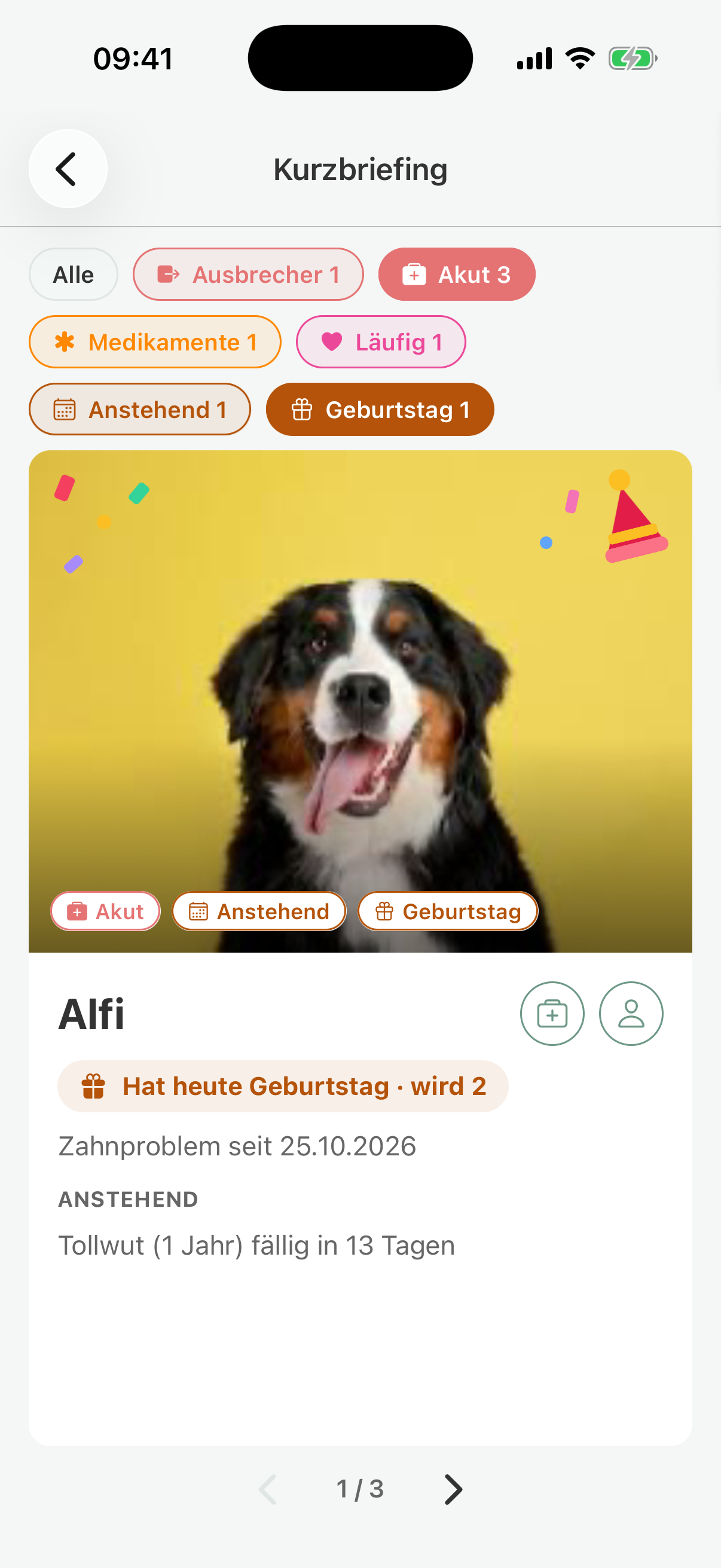 Short briefing in pawganizer: Alfi with a birthday, a dental problem, and a vaccination that is due Short briefing in pawganizer: Alfi with a birthday, a dental problem, and a vaccination that is due