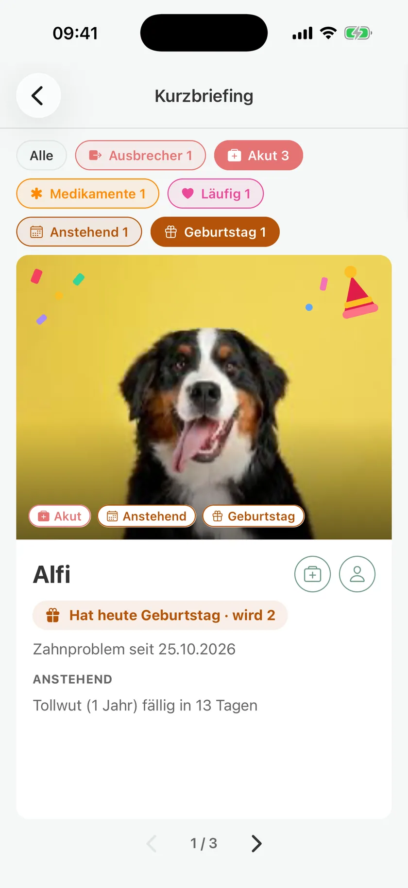 Short briefing in pawganizer: Alfi with a birthday, a dental problem, and a vaccination that is due Short briefing in pawganizer: Alfi with a birthday, a dental problem, and a vaccination that is due